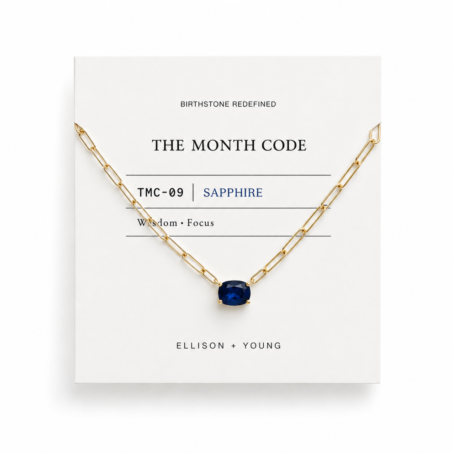 The Month Code Birthstone Necklace Collection